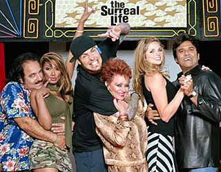 Surreal Life, The: (13 DVD Set) 2003 TV Series